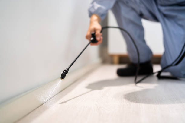 Licensed Pest Control service in Scappoose, OR - Show Me Pest Control